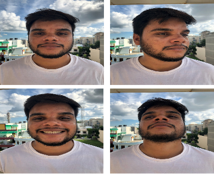Portrait & Brand Collection